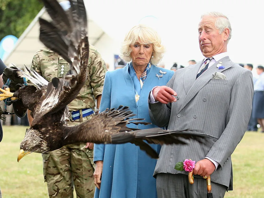 Eagle Scare