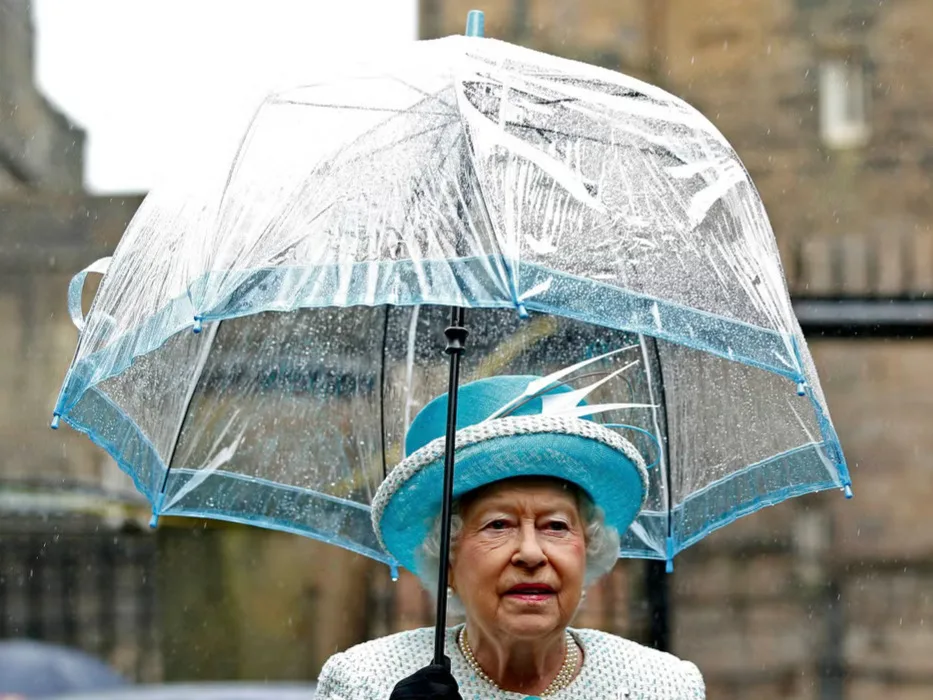 I Like My Umbrellas!