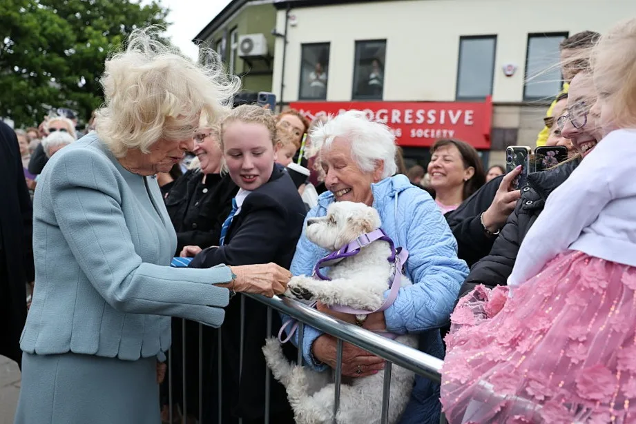 Royal Canine Enthusiasts