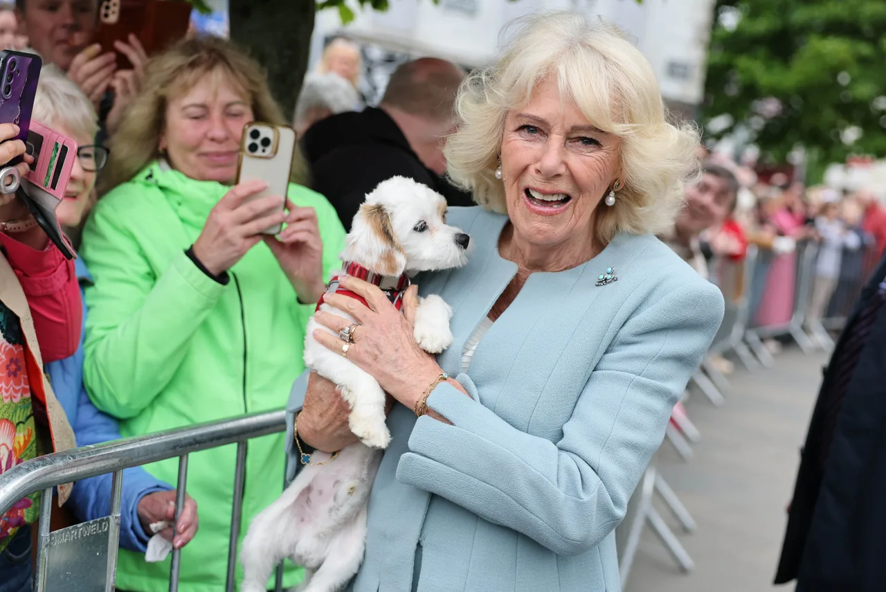 Precious Photo Op