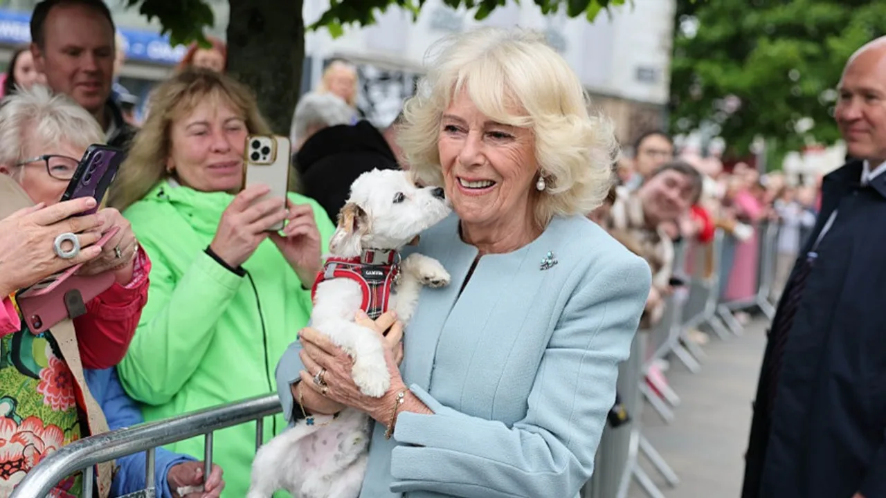 See Adorable Photos Of Queen Camilla Getting Licked by a Dog in Latest Outing