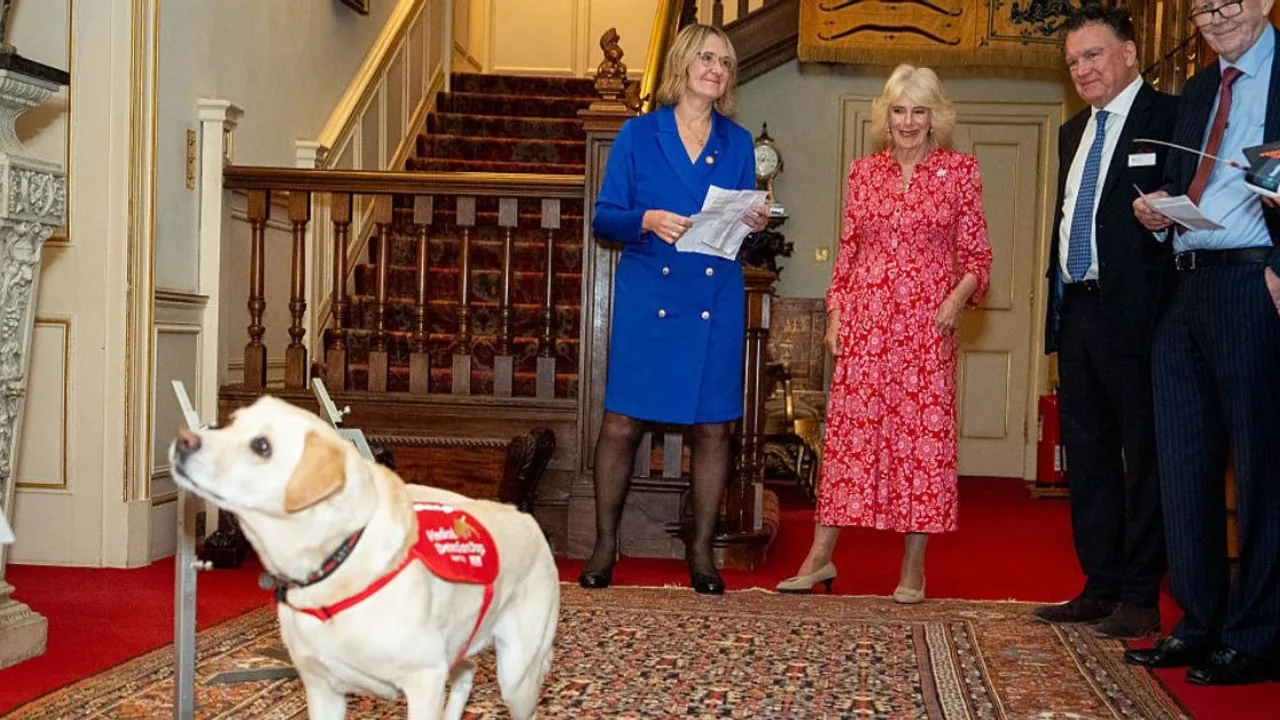 Queen Camilla Hosts Special Event For Dogs With A Very Important Job — Photos
