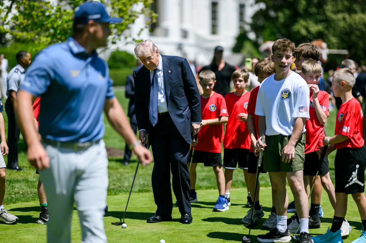 Action-packed moments on the lawn