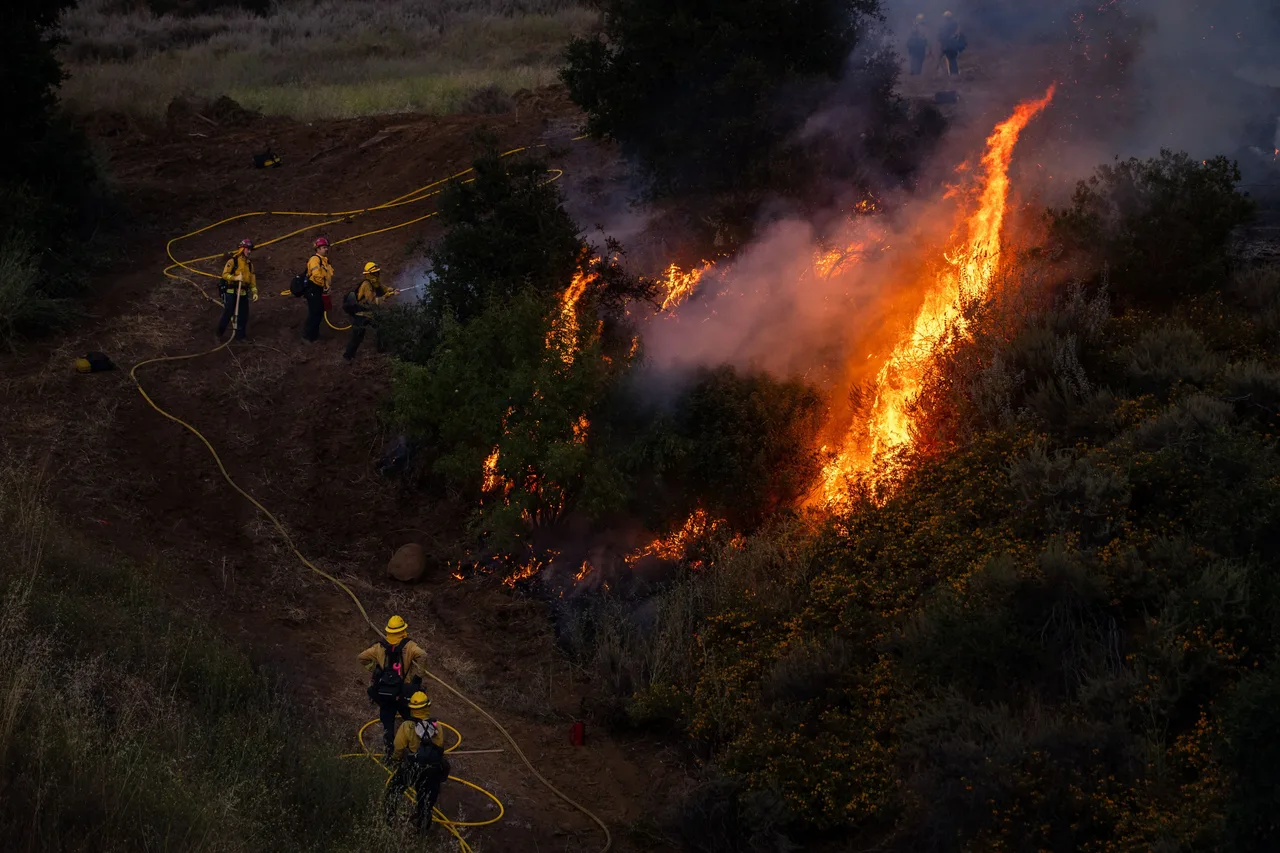 Fire crews conduct a firing operation to control the Sandy Fire