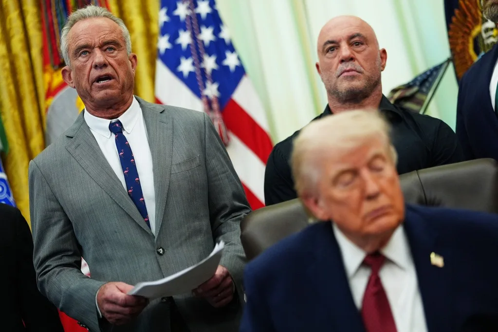 Joe Rogan's role in Ibogaine push