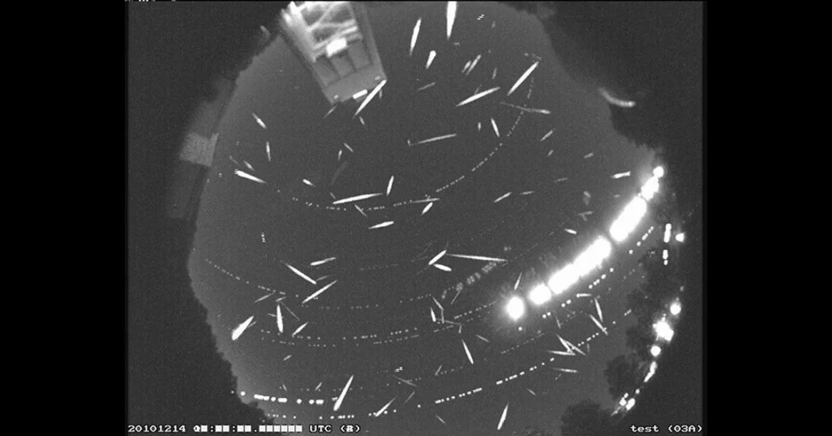 Geminids Meteor Shower