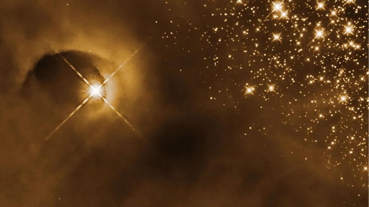 The Hubble Space Telescope shows a curving cavity in a cloud of gas that has been hollowed out by a protostar