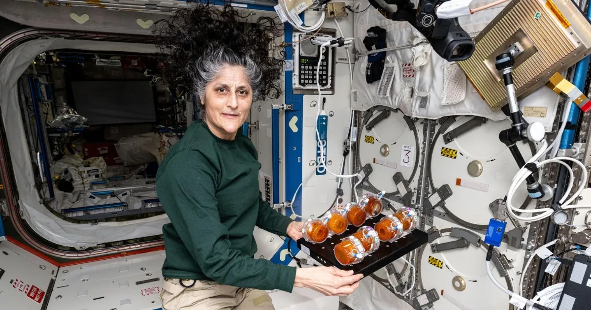 Sunita Williams