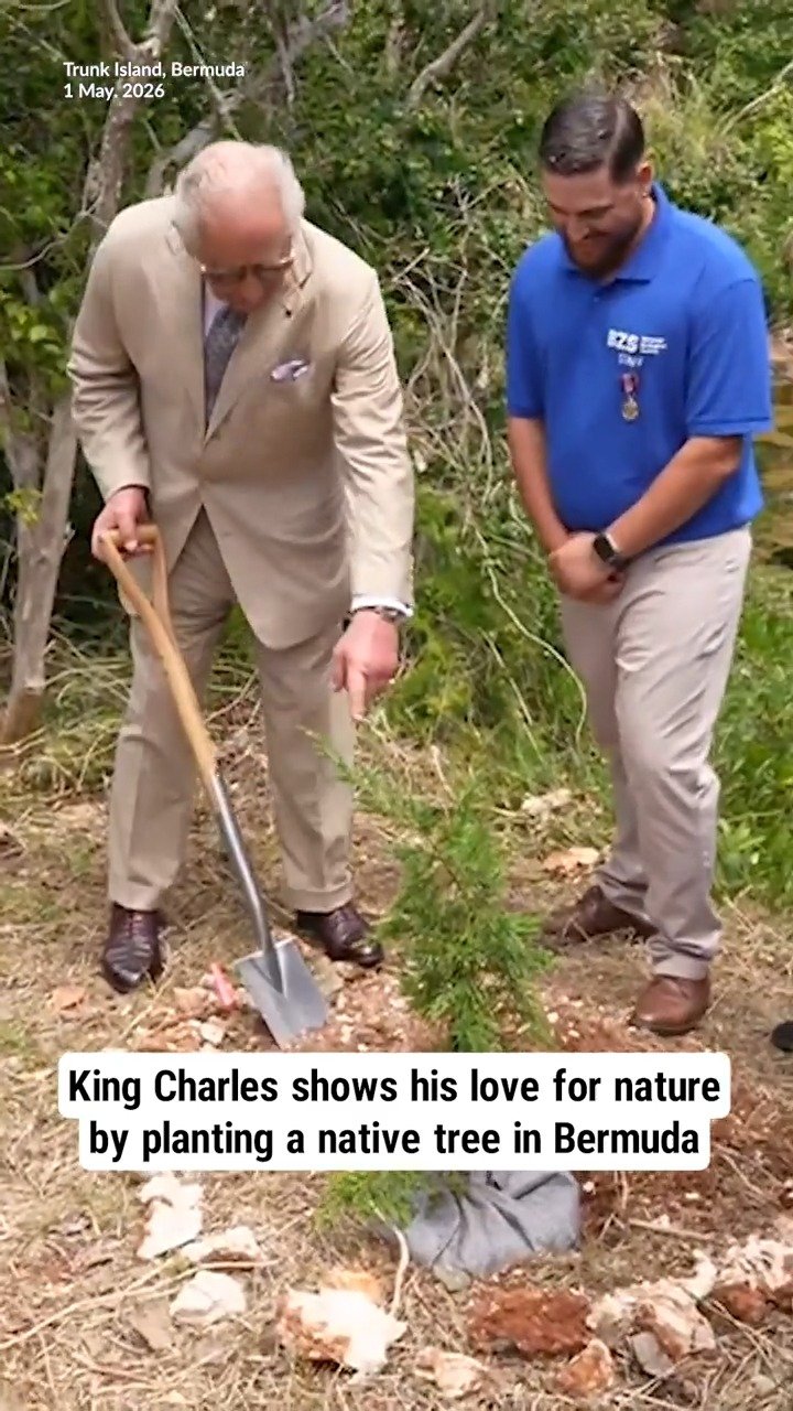 King Charles shows his love for nature by planting a native tree in Bermuda