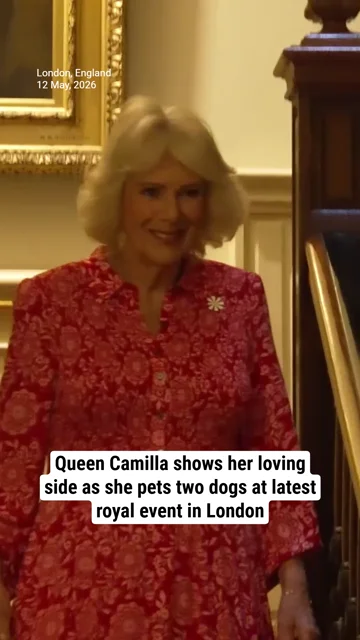 Queen Camilla shows her loving side as she pets two dogs at latest royal event in London