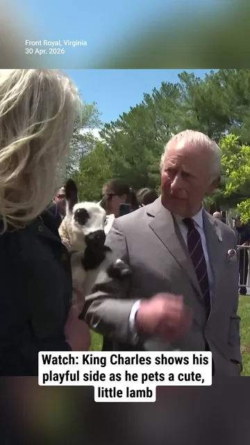 Watch: King Charles shows his playful side as he pets a cute, little lamb