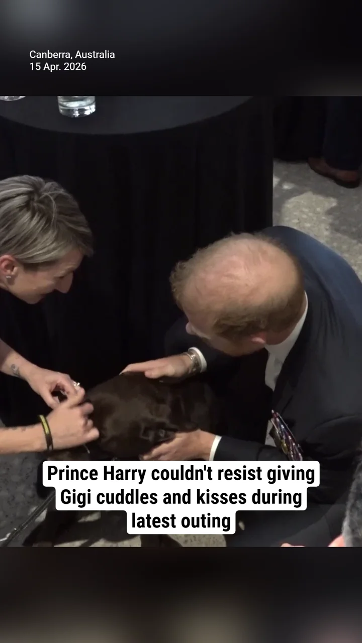 Prince Harry couldn't resist giving Gigi cuddles and kisses during latest outing