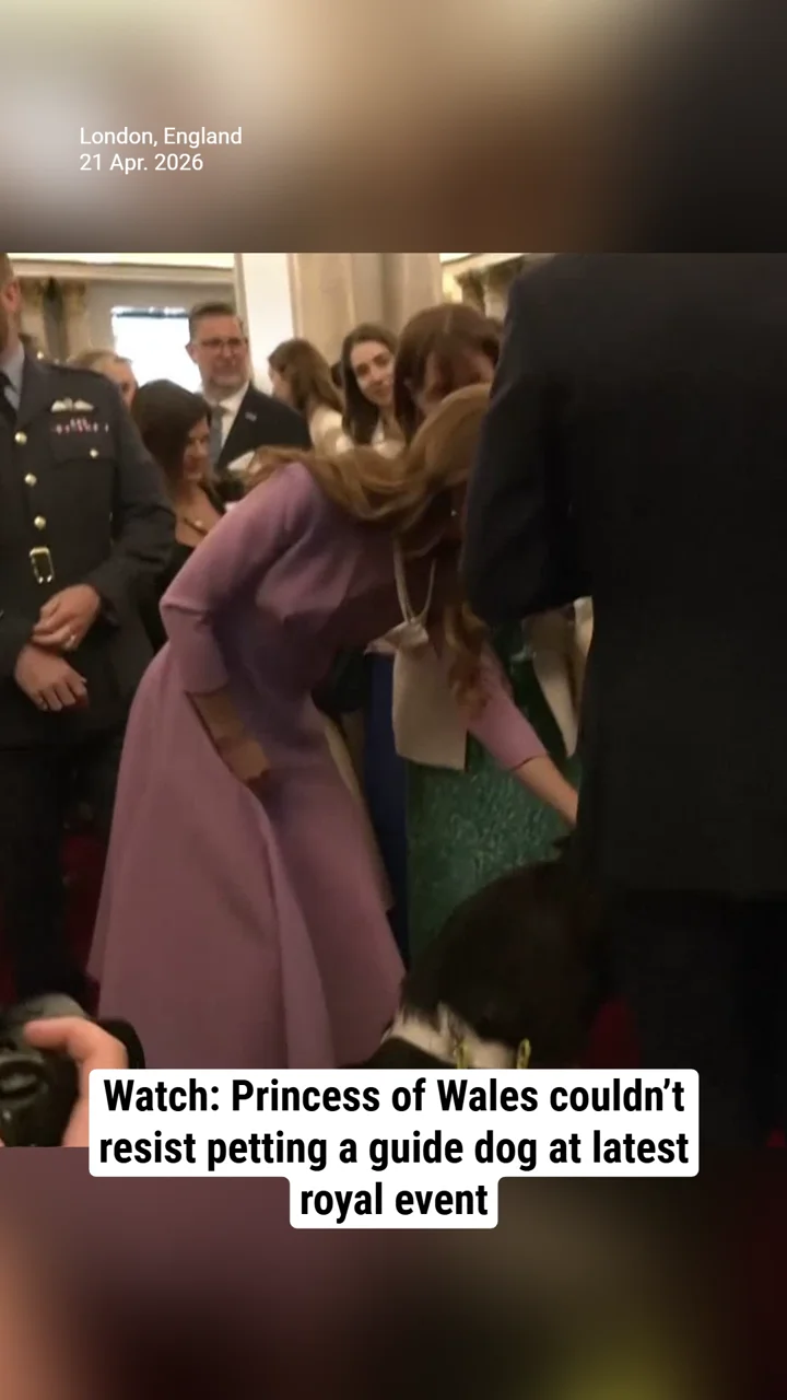 Watch: Princess of Wales couldn’t resist petting a guide dog at latest royal event