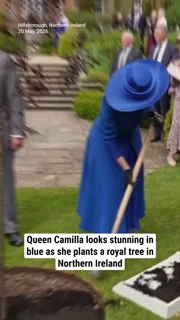 Queen Camilla looks stunning in blue as she plants a royal tree in Northern Ireland