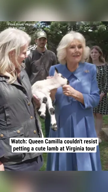 Watch: Queen Camilla couldn't resist petting a cute lamb at Virginia tour