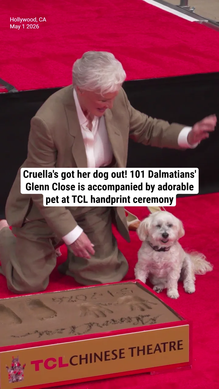 Cruella's got her dog out! 101 Dalmatians' Glenn Close is accompanied by adorable pet at TCL handprint ceremony