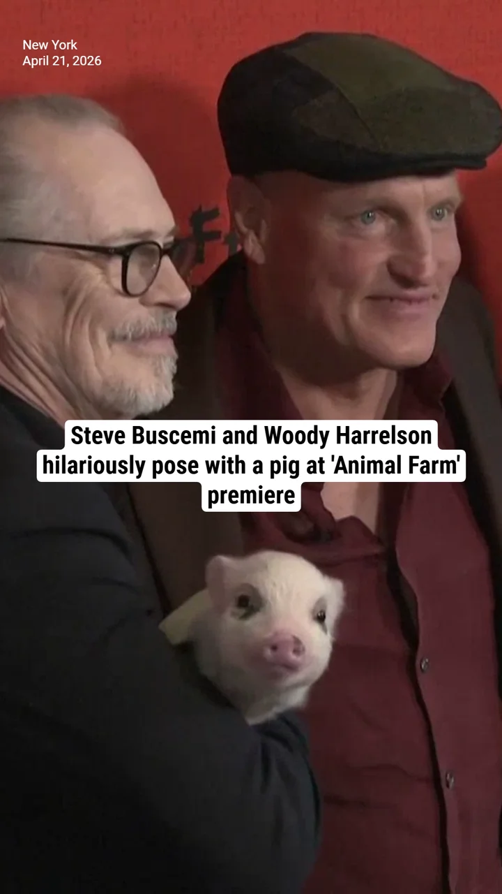 Steve Buscemi and Woody Harrelson hilariously pose with a pig at 'Animal Farm' premiere