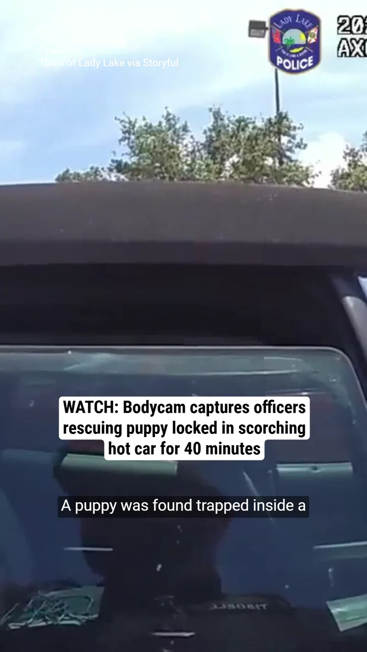 WATCH: Bodycam captures officers rescuing puppy locked in scorching hot car for 40 minutes