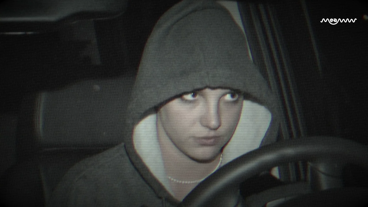 Britney Spears Pleads Guilty to DUI Charge Weeks After Leaving Treatment Facility