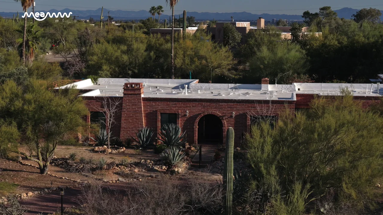 Breaking: Human Bone Found Near Nancy Guthrie’s Home as Police Continues Search