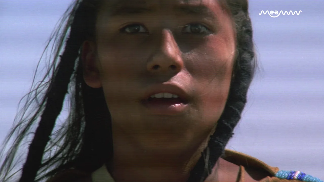 "Dancing With Wolves" Actor, Nathan Chasing Horse Sentenced 37 Years