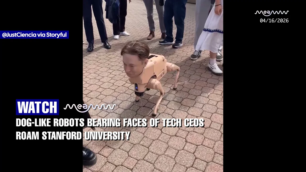 WATCH- DOG ROBOTS With Elon Musk, Zuckerberg Faces STUN Students at Stanford