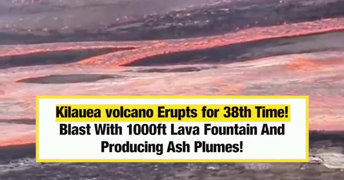 “Failure of the FBI” - Omar Questions Any Link Between Somali Fraud and Terr*rism