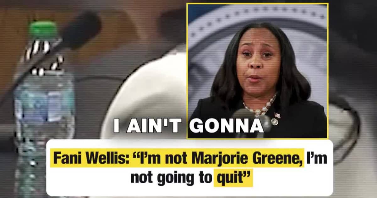 Fani Wellis: “I’m not Marjorie Greene, I’m not going to quit”