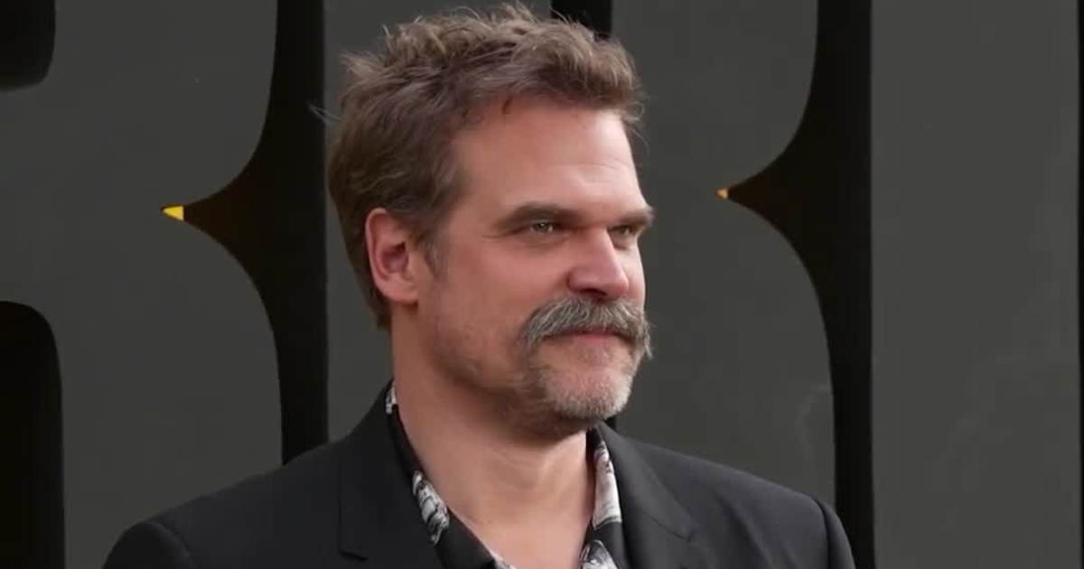 David Harbour Skips Stranger Things Finale Event After Reported Erratic Behavior