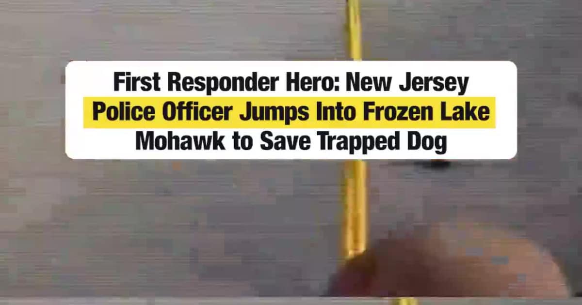 First Responder Hero: New Jersey Police Officer Jumps Into Frozen Lake Mohawk to Save Trapped Dog