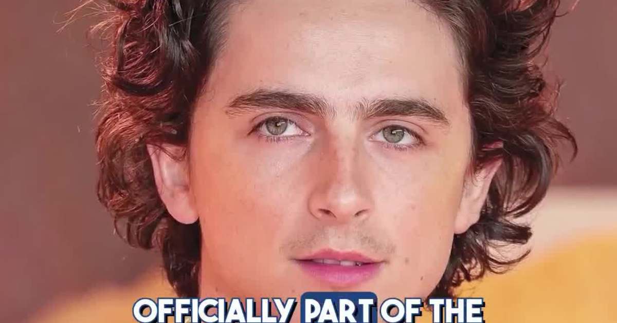 Timothée Chalamet and Kylie Jenner Go Gingerbread Official This Christmas