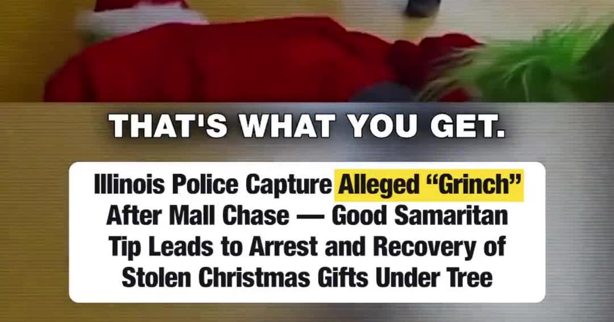 Illinois Police Capture Alleged “Grinch” After Mall Chase — Good Samaritan Tip Leads to Arrest and Recovery of Stolen Christmas Gifts Under Tree