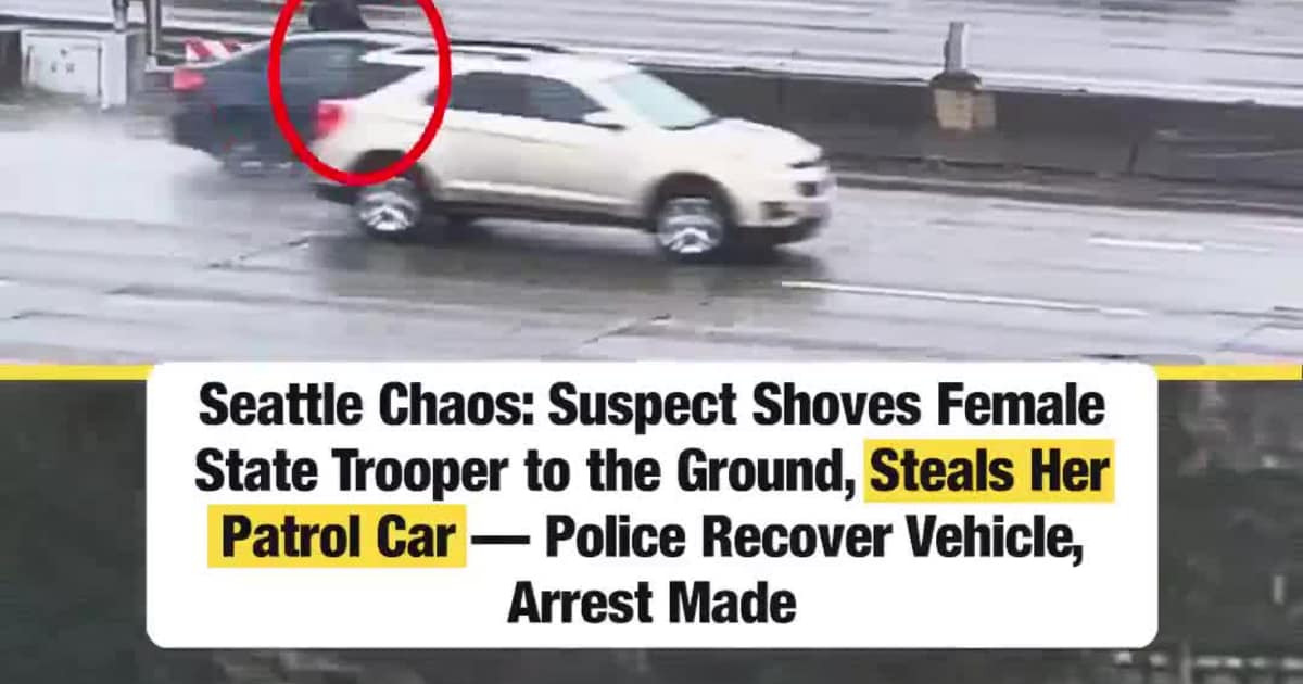 Seattle Chaos: Suspect Shoves Female State Trooper to the Ground, Steals Her Patrol Car — Police Recover Vehicle, Arrest Made