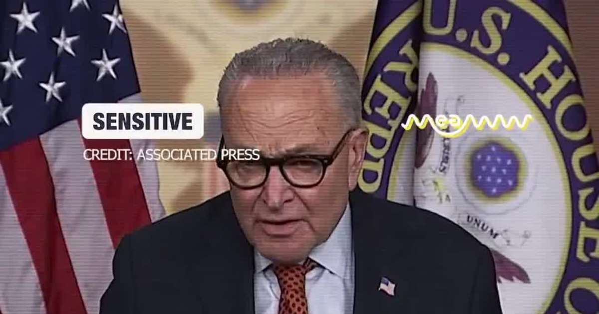 Chuck Schumer: “I Watched the Video” — Slams ICE After Minneapolis Woman Killed