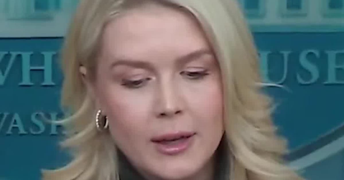 Karoline Leavitt Says Border Commander Greg Bovino Will Remain in CBP Leadership as Tom Homan Takes Over Operations in Minneapolis