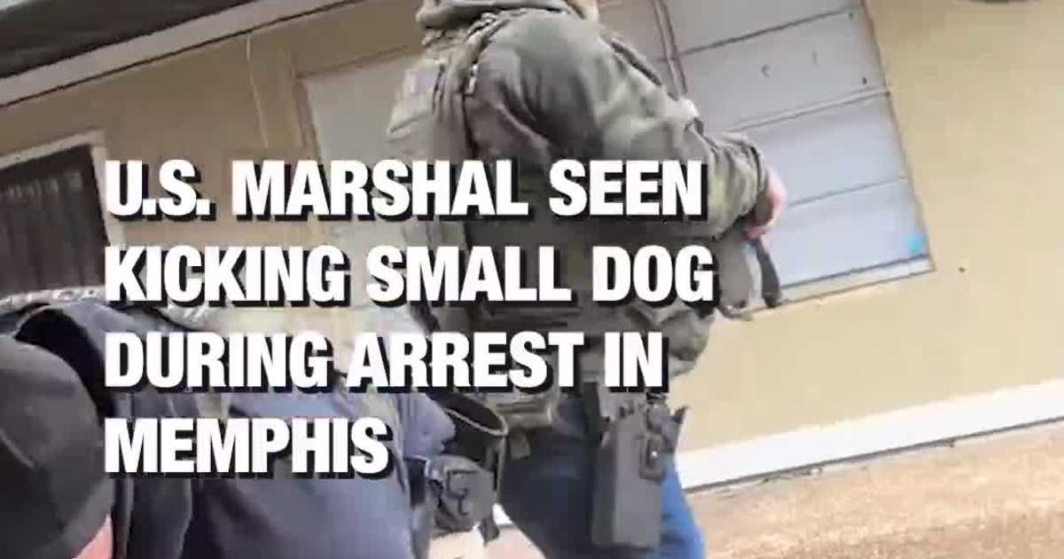 U.S. Marshal Seen Kicking Small Dog During Arrest in Memphis