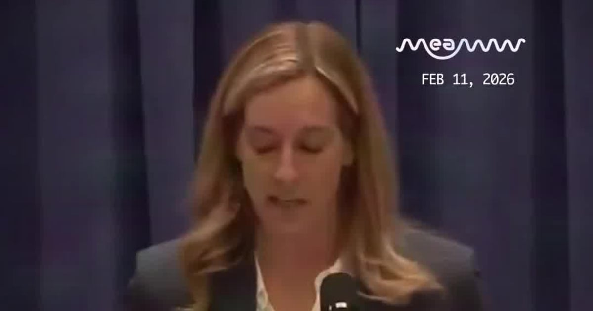 ‘Not on Our Land’: Dem New Jersey Governor Bars ICE From Operating on State Property