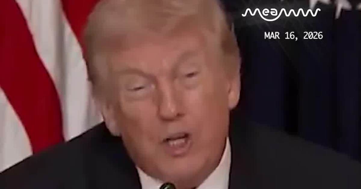 Donald Trump Says He Predicted Bin Laden Would Att*ck World Trade Center