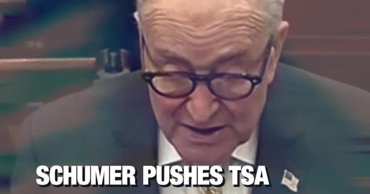 Schumer Pushes TSA Reopening Vote, Says Senators Must Choose on Funding