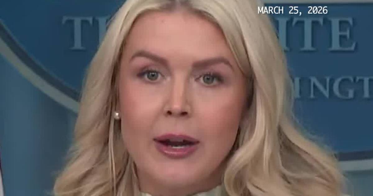 “Hours-Long Lines, No Paychecks” — Leavitt Blasts Democrats Over Airport Chaos