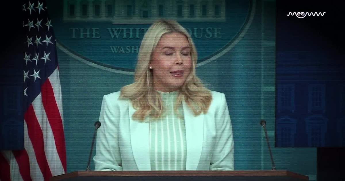 Cheap Political Stunt!”: Karoline Leavitt BLASTS Dem Letter