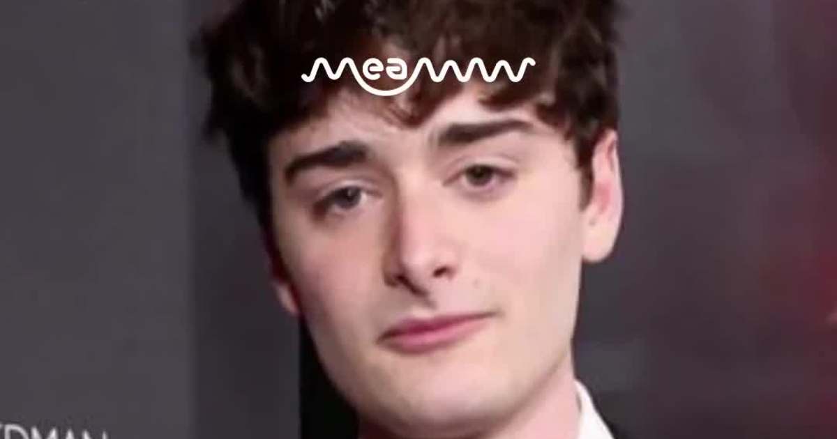 Stranger Things Creators Hid a Major Plot Twist from Noah Schnapp