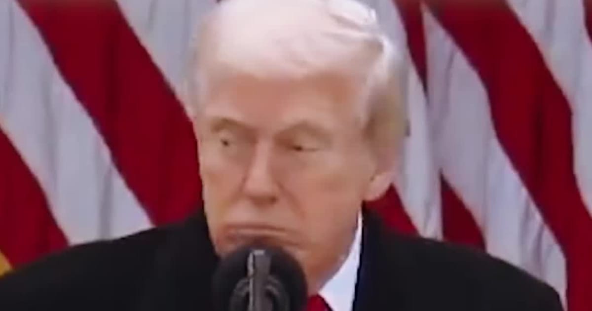 Turkey Interrupts Trump During Thanksgiving