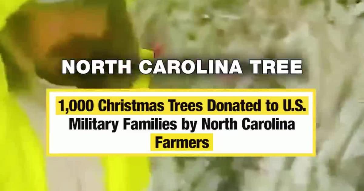 North Carolina Tree Farmers Donate 1,000 Christmas Trees to U.S. Military Families